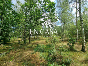 Plot Sale Orzyny